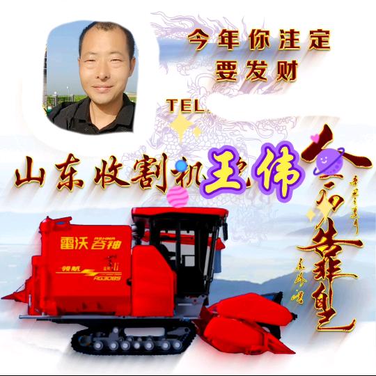 山东收割机王伟