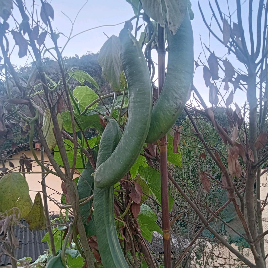 相互理解才能有未来🍬🍬🍬🍬🍬