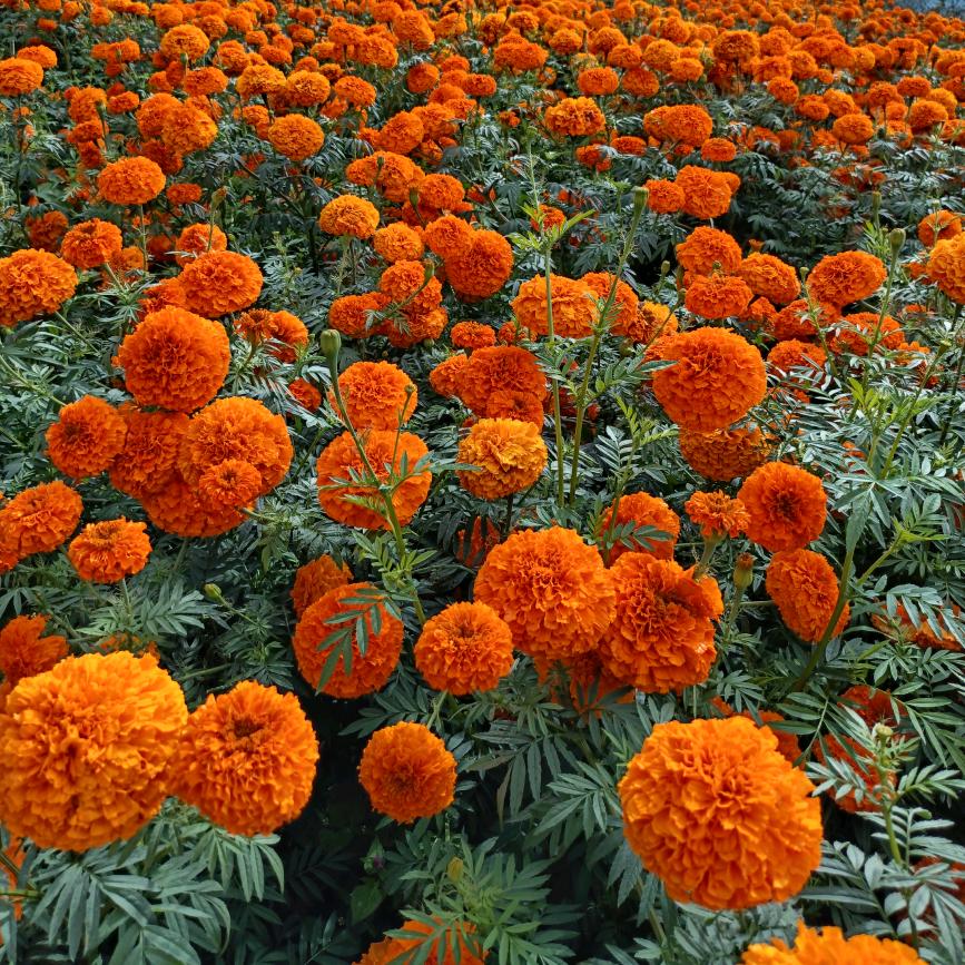 相见不如怀念🙏🙏