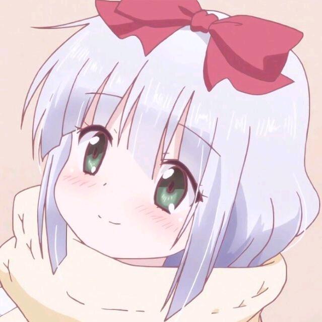 服务器养了猫