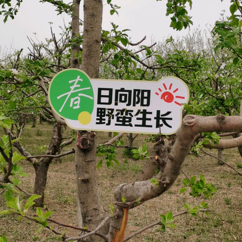 @小满