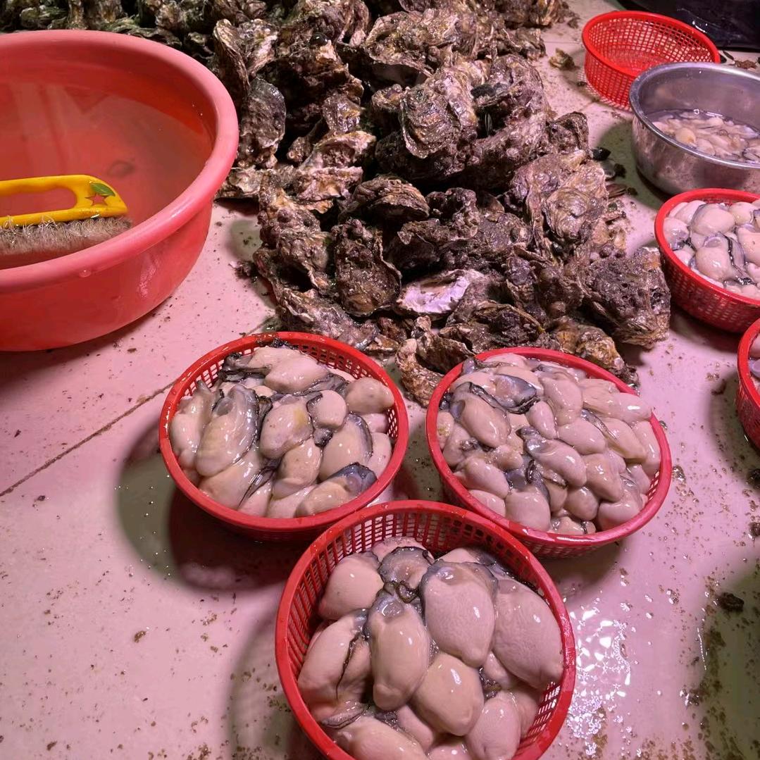 陵海市场生蚝店