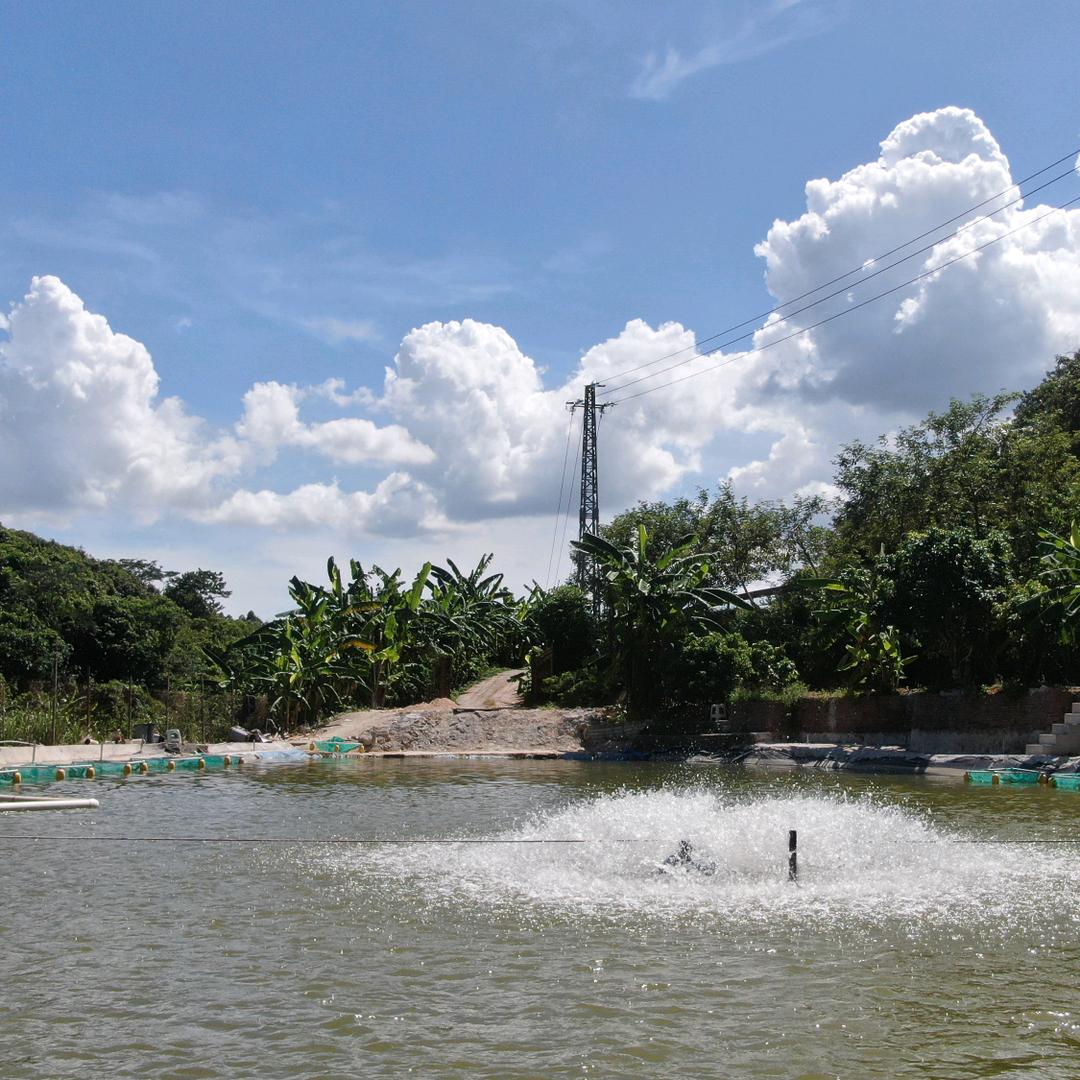 鑫非凡钓鱼场(巨非塘)