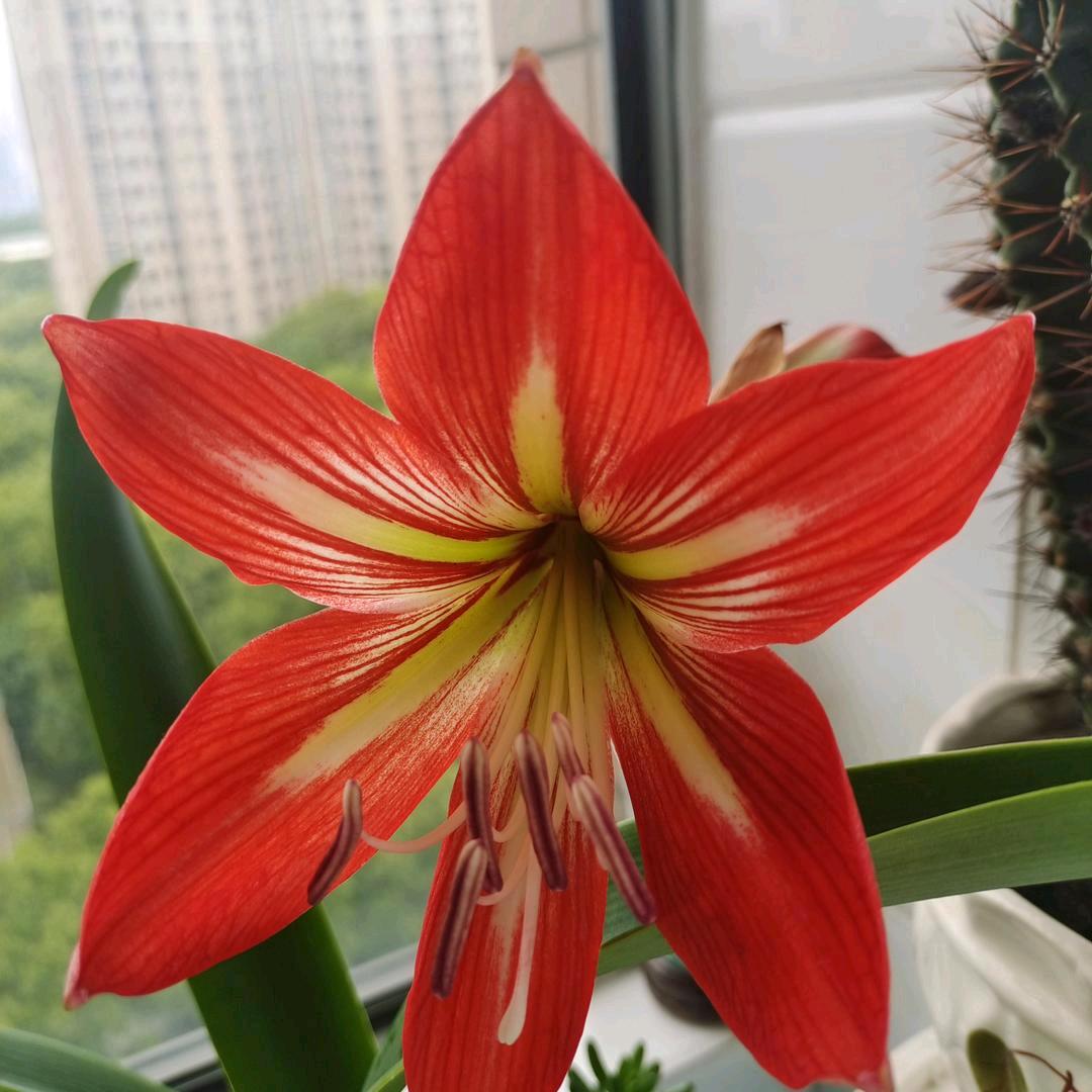 四季平安《拒私聊》《拒连赞》