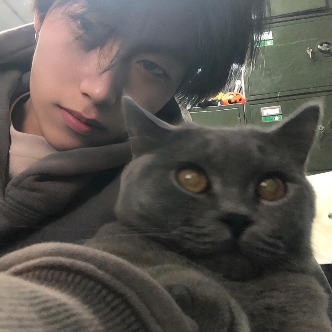 楠歌
