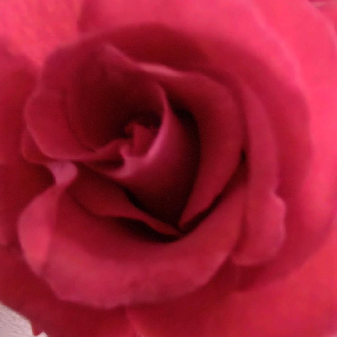 靠自己天长地久