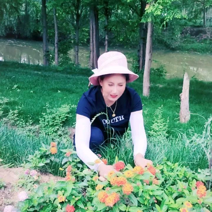 刘小芳