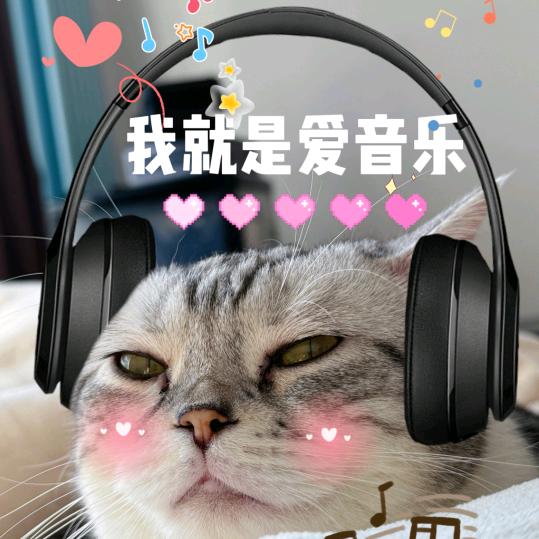 老张歌