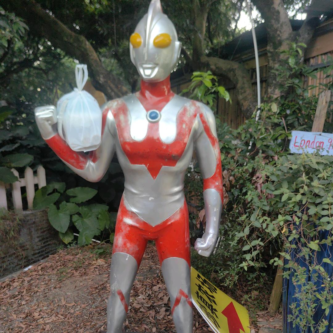 耶耶耶