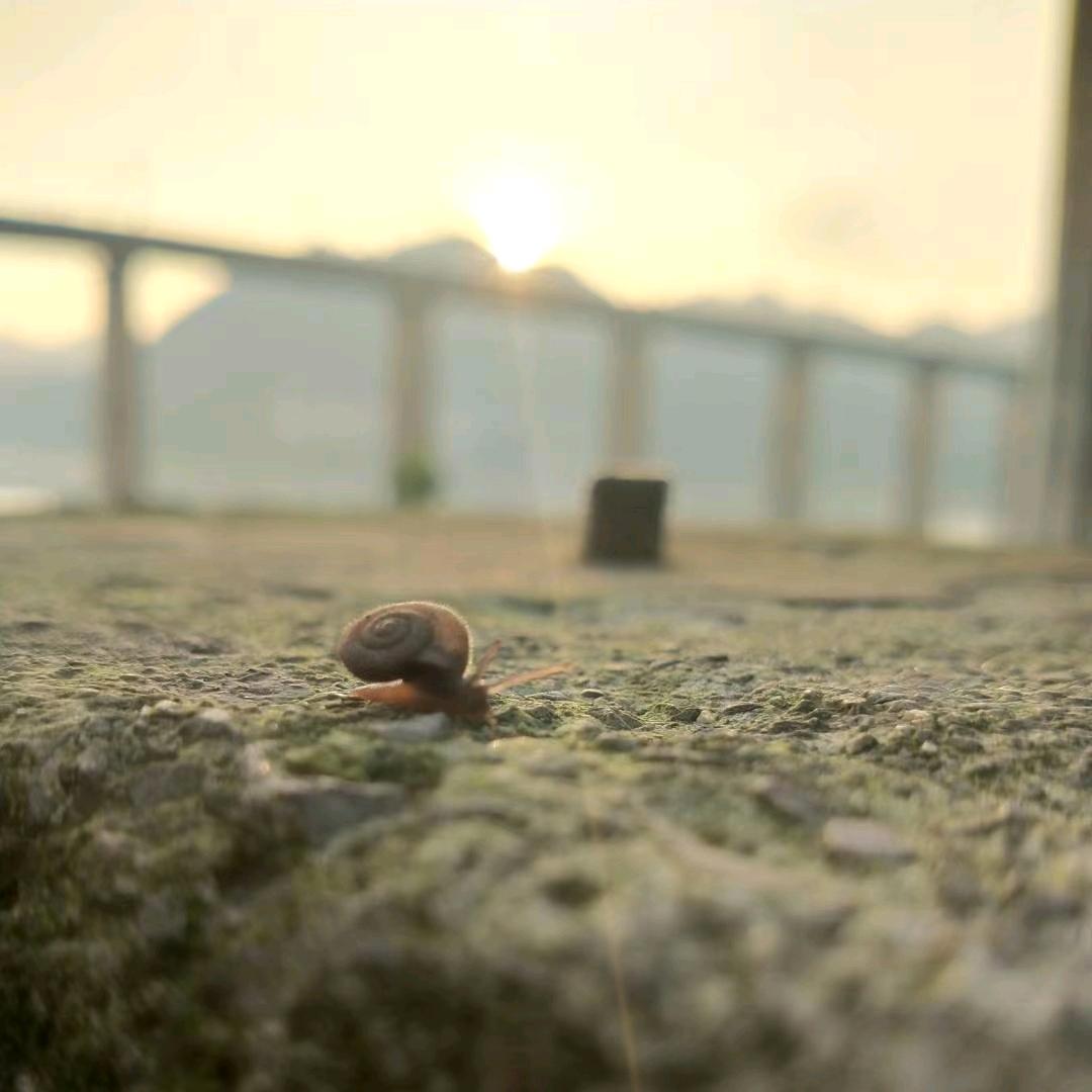 💖山那边是海