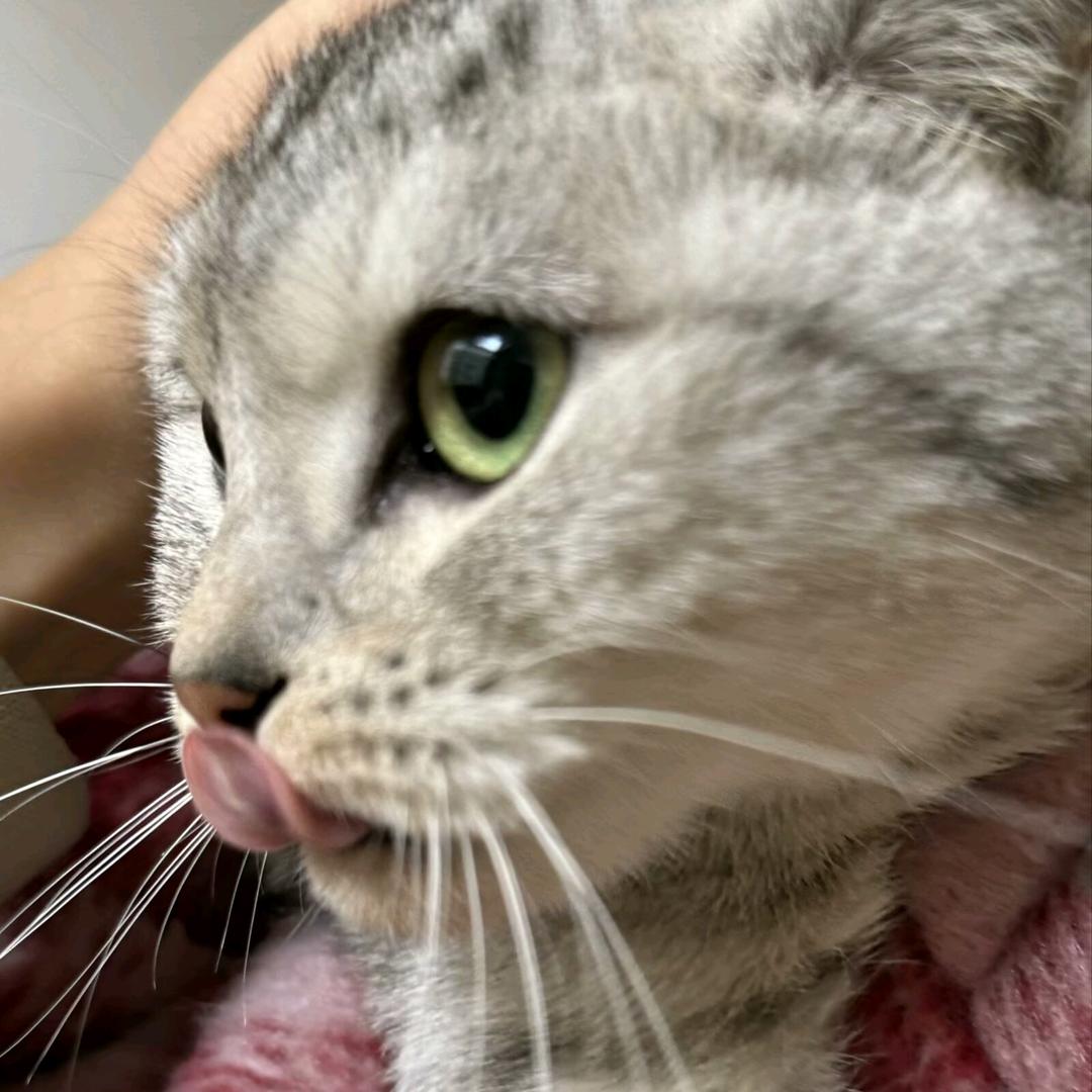 ～