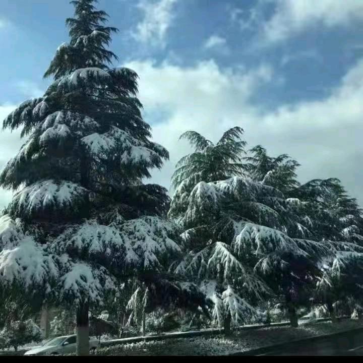 一生无悔