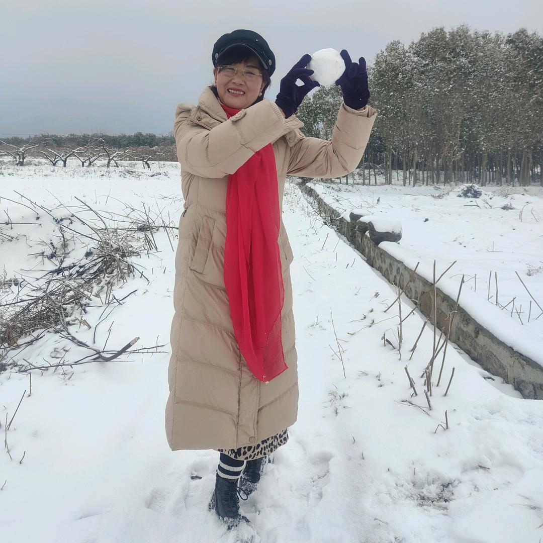 福顺假山景观設計