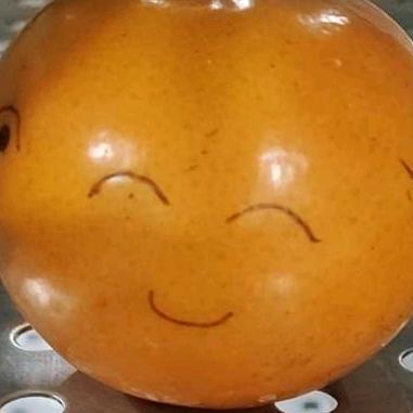 零下N度°