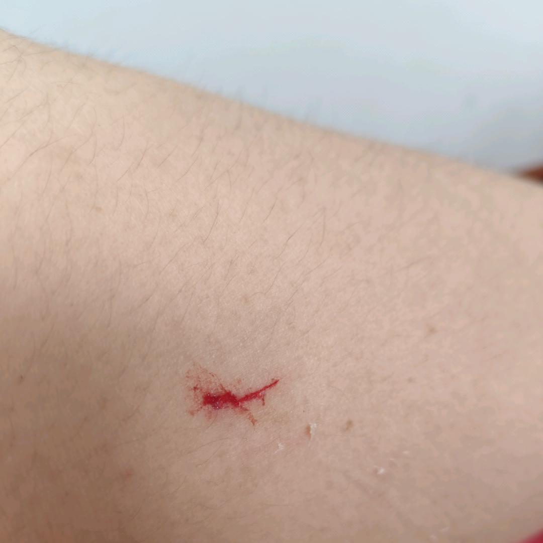 ddjj我想要飞dj我想哥哥