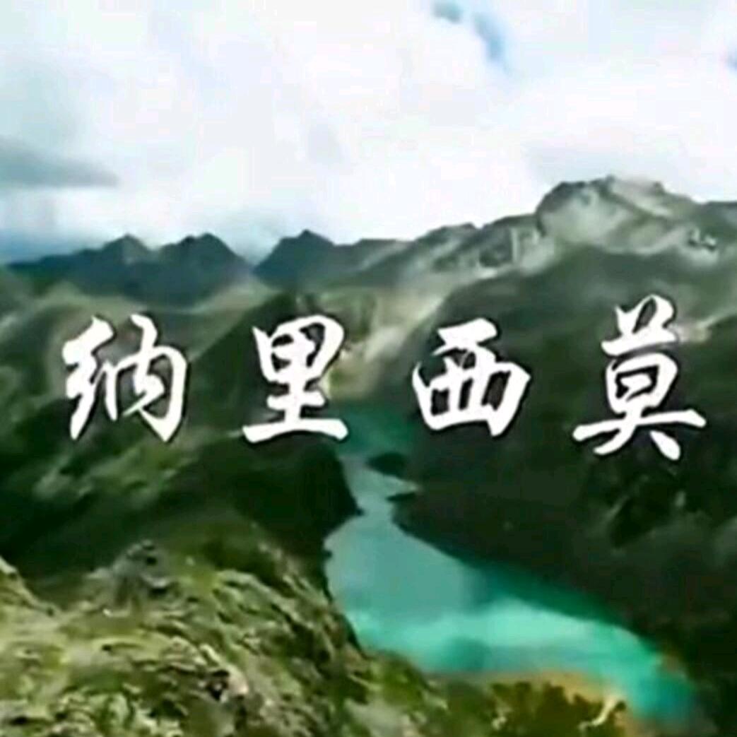 【纳里西莫】