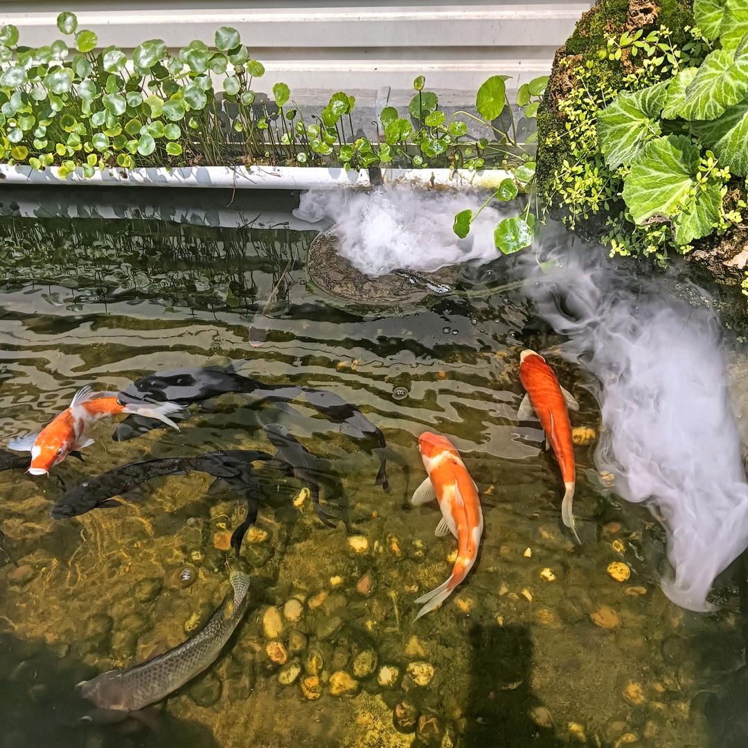 雨过天晴