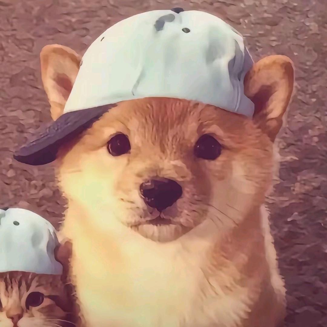 我女朋友超级可爱