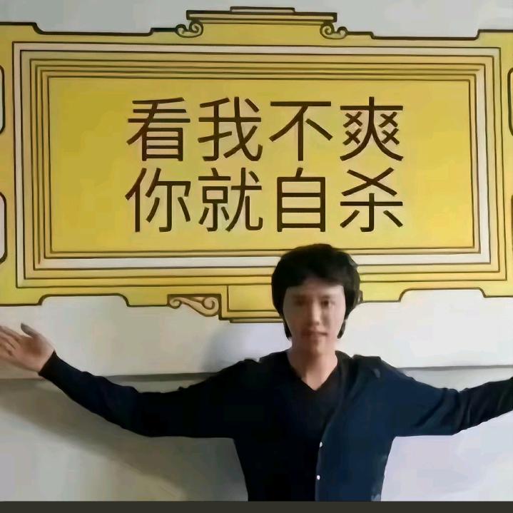 龙傲天.