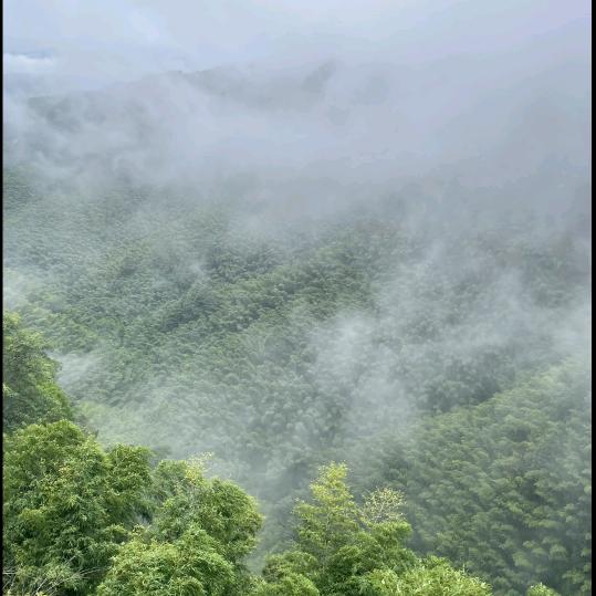 墨池