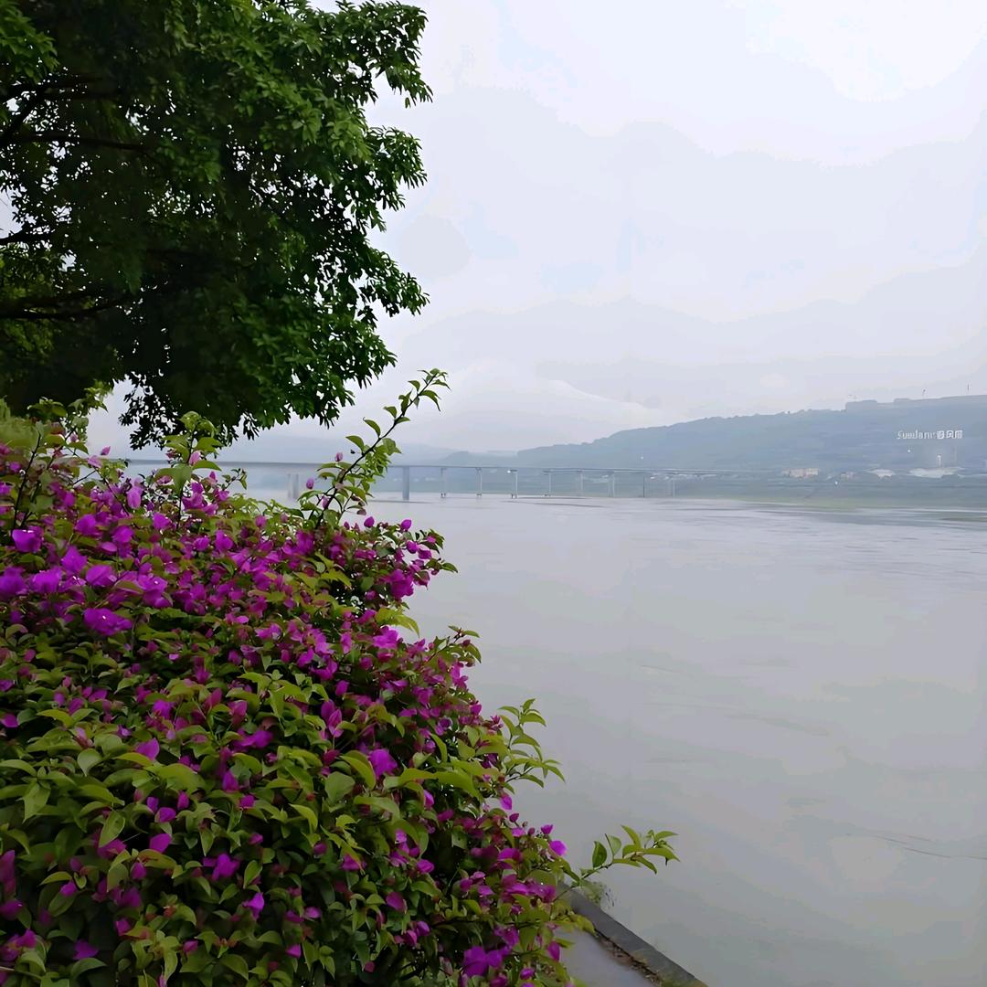 贝诺诗