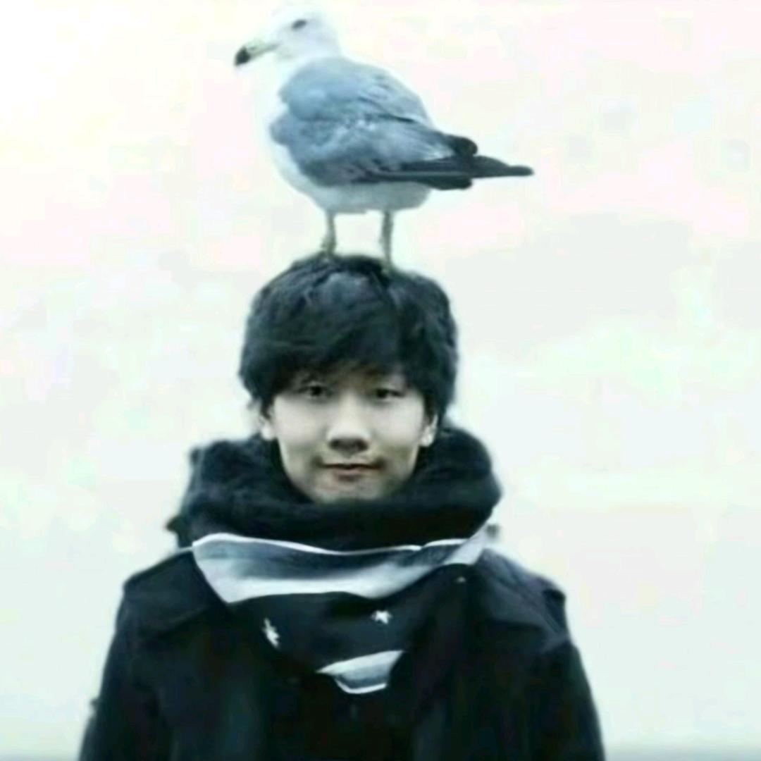 曦桐梓