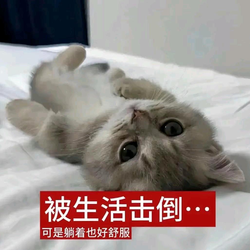 吾想心坚不可摧