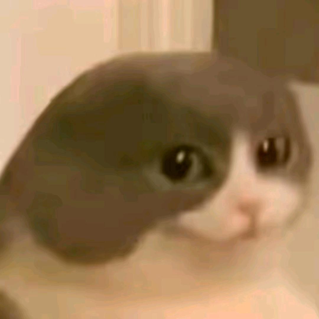 不会玩