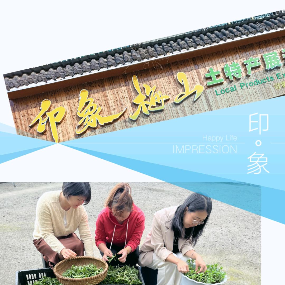 印象梅山土特产店
