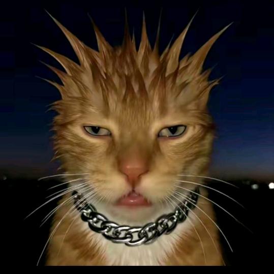 古德猫宁