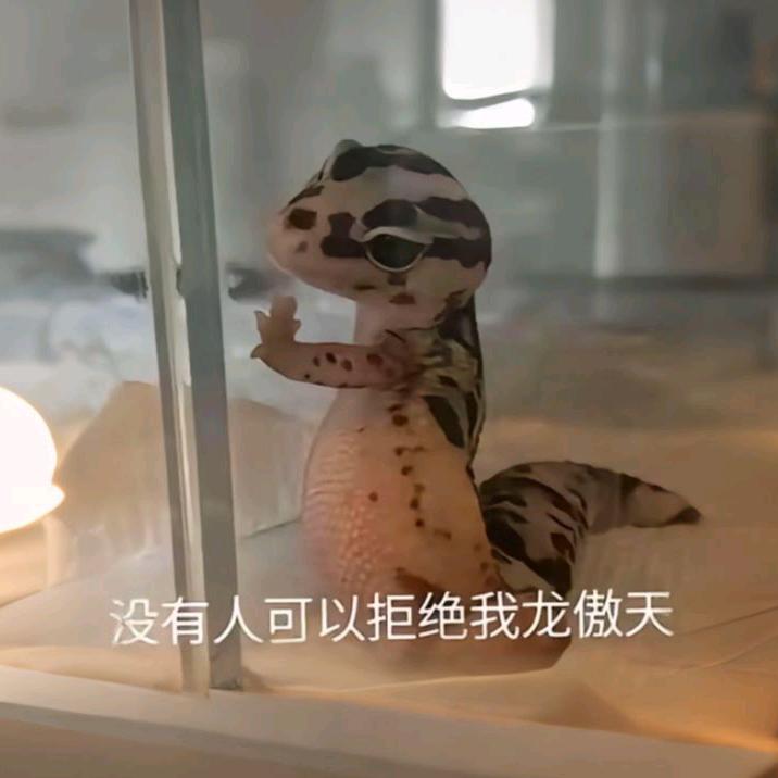 宇宙无敌暴龙战士