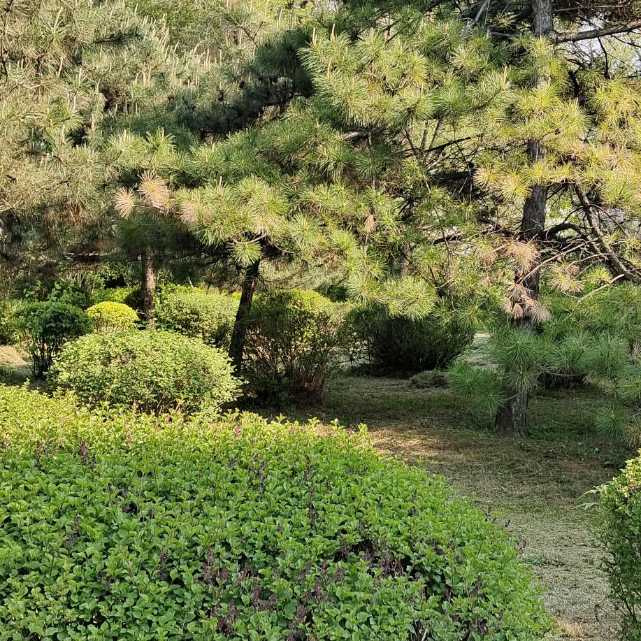 🌈LILI💧💧💧