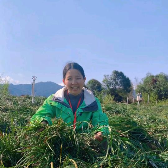 林木药业