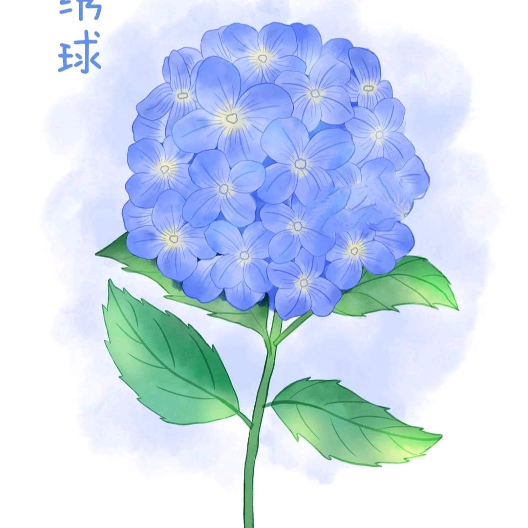 娜娜绘画工作室
