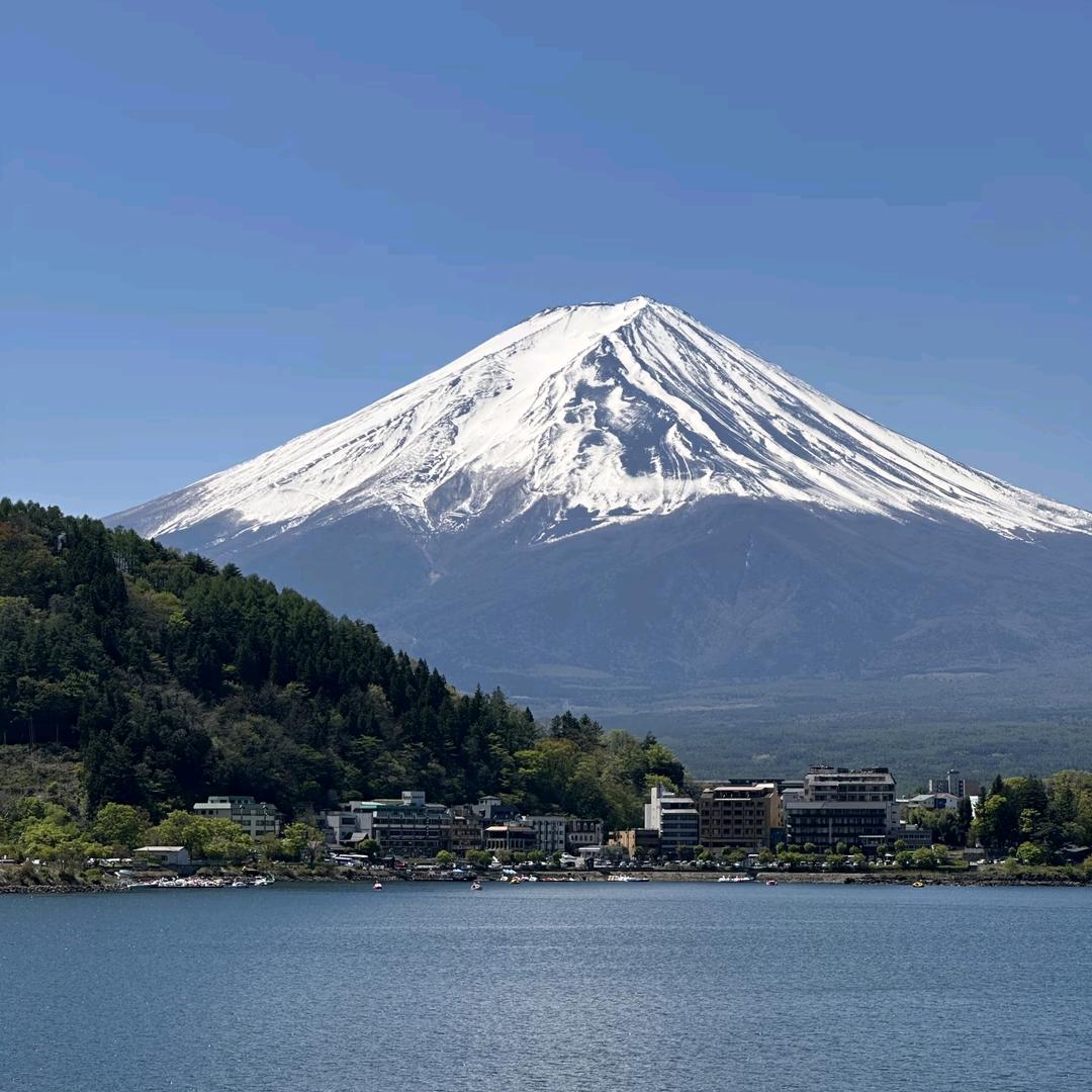 盛夏的学琴✍️