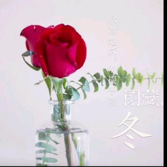 💞不离💞不弃💞