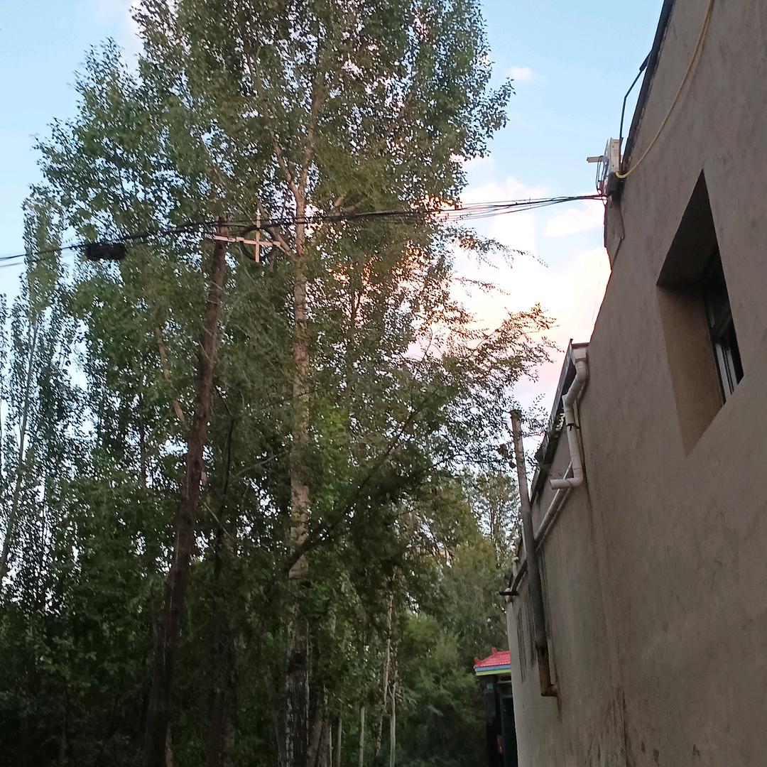 刘哥
