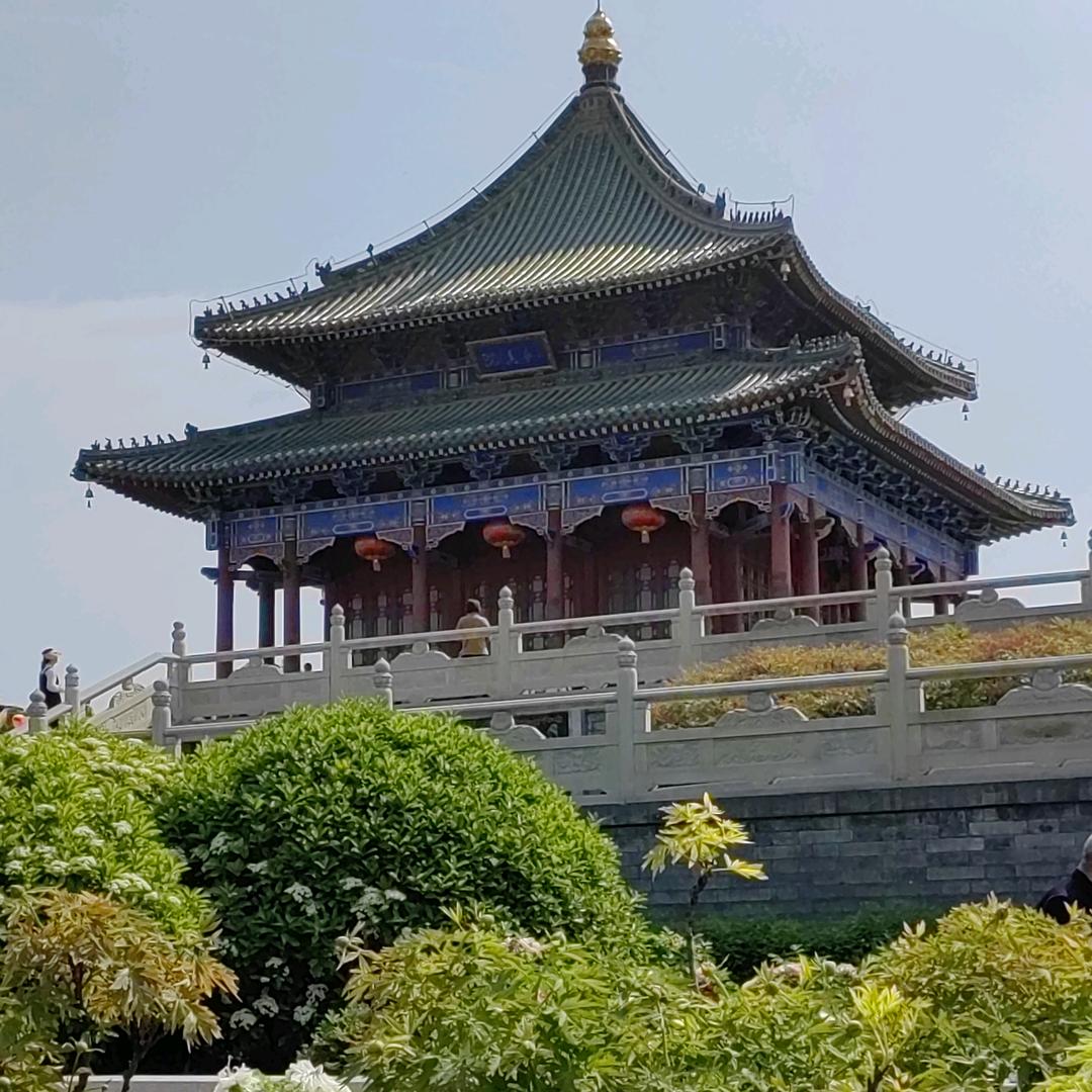 会飞的橙子（文旅版）