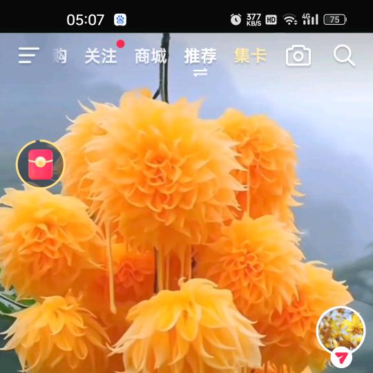 潇洒快乐