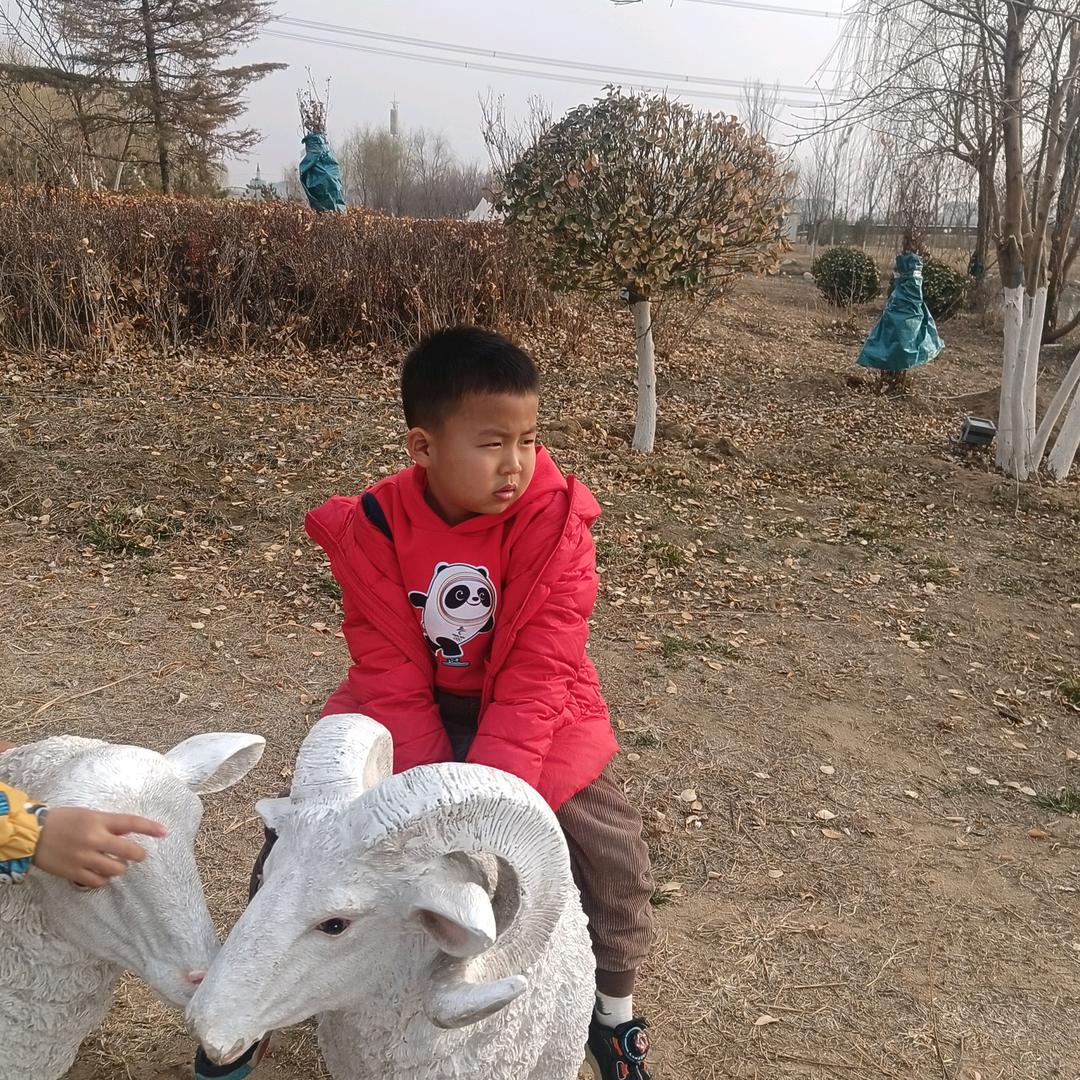 老何