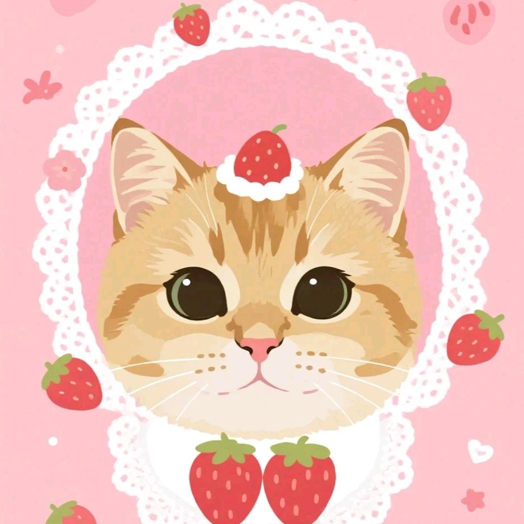 Strawberry kitty🍓