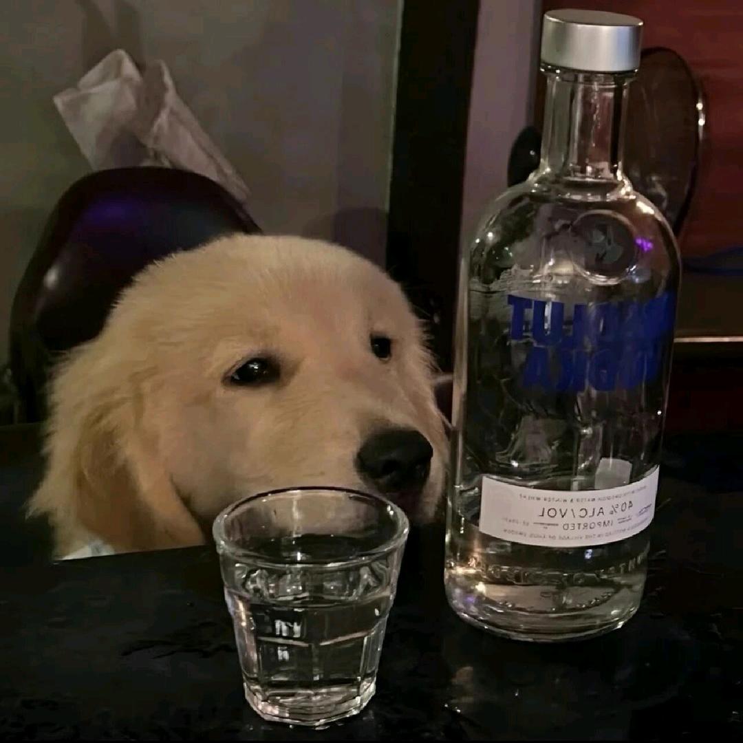 WY
