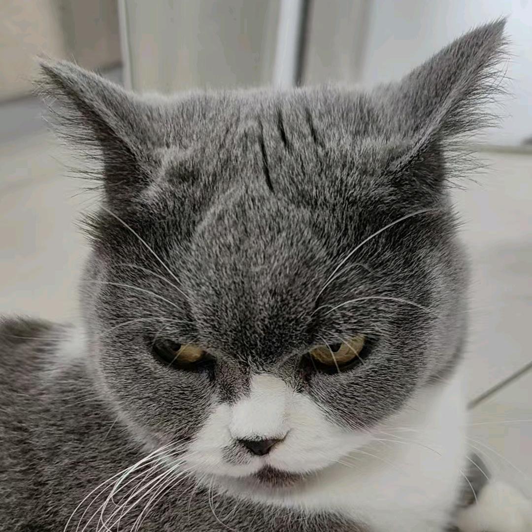 y^