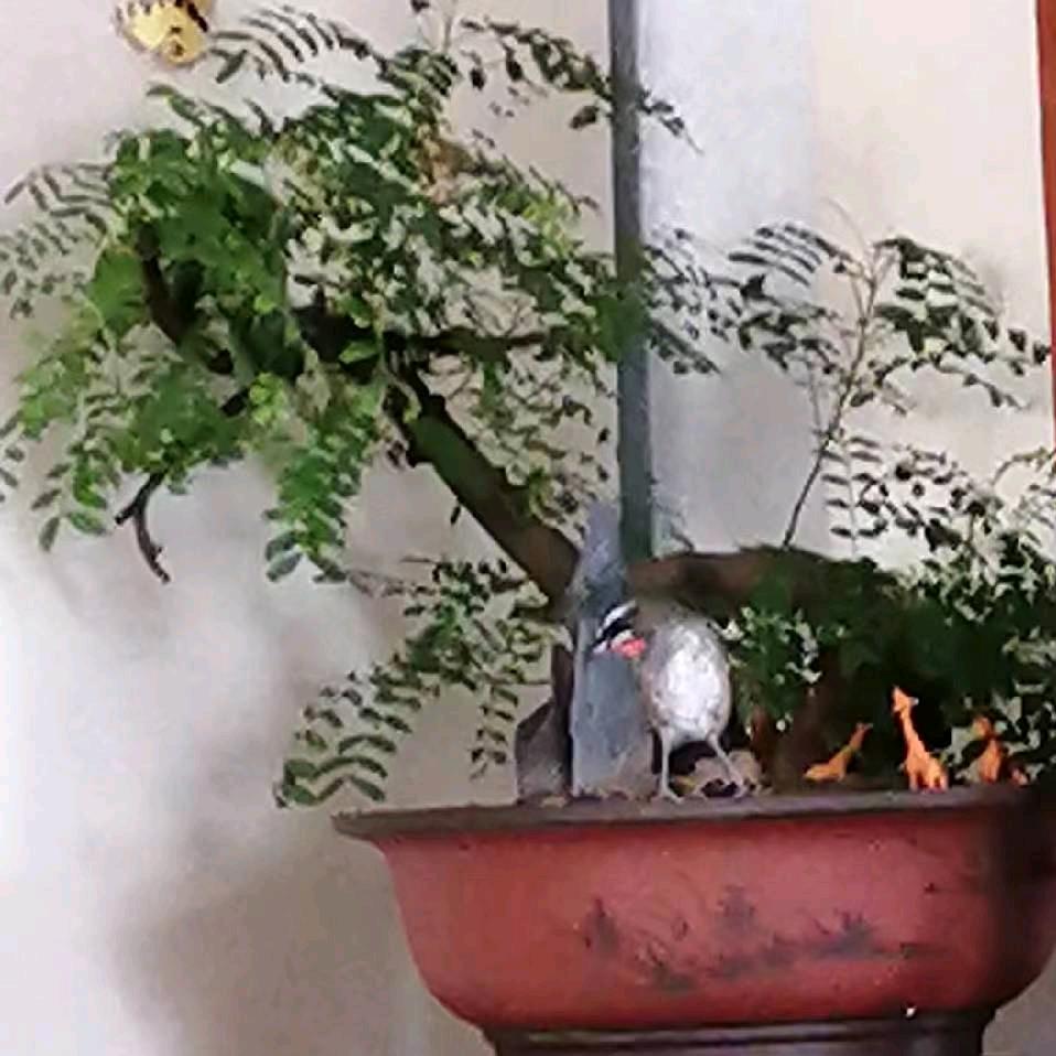 老柯(抖)🌈🌈🌈🌈🌈🌈