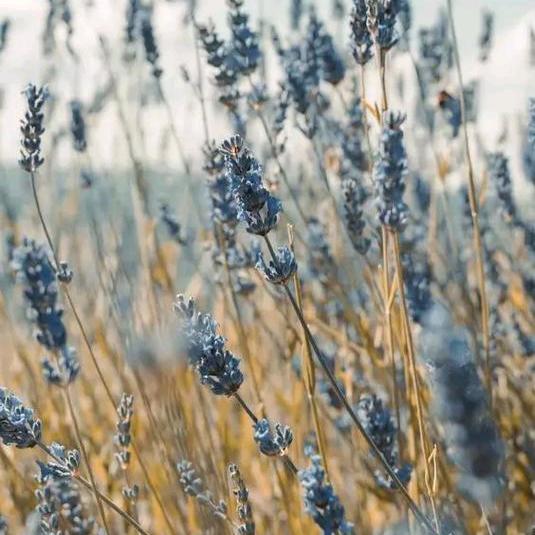 ♡瞬间.̶̶᭄ꦿ̶