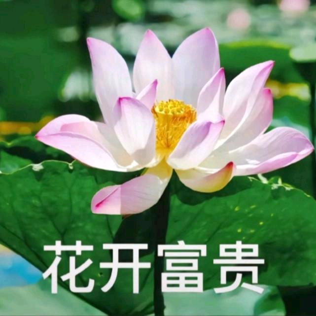 捉到一只小鬼☁️