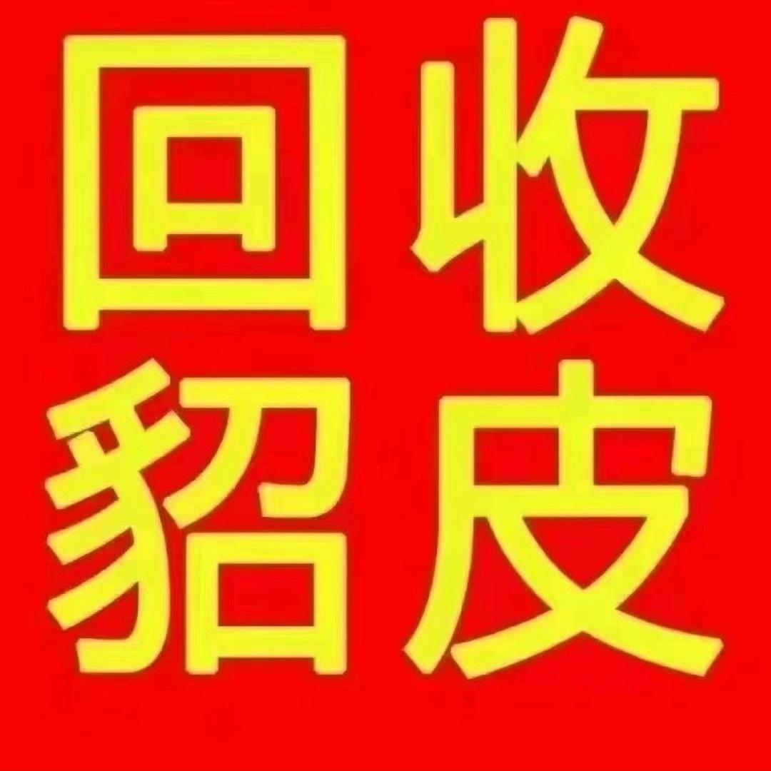 收貂皮大衣旺鼎🌹