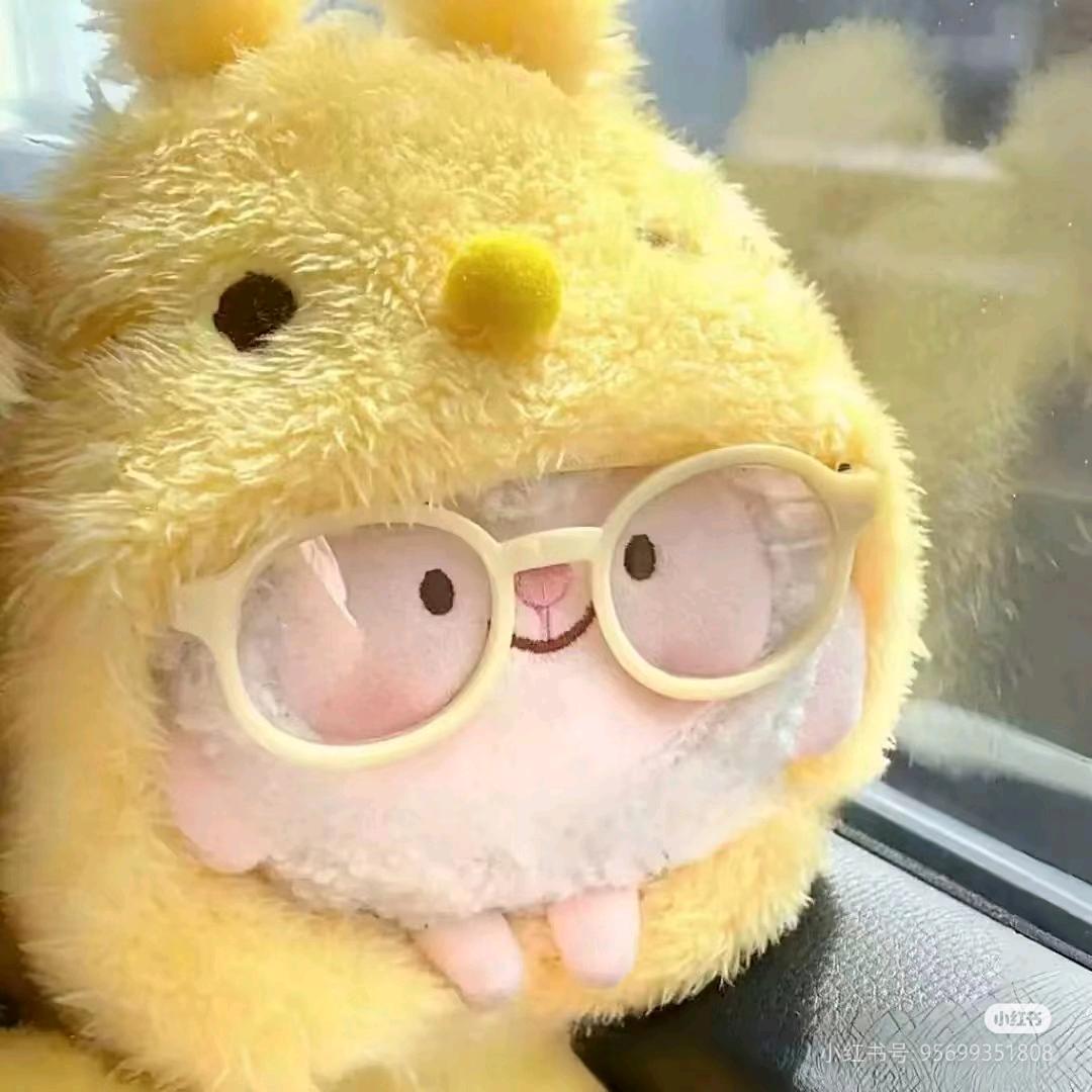 朱zu