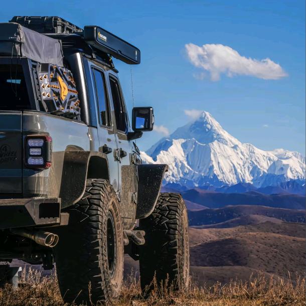 漂洋过海的鱼🐟