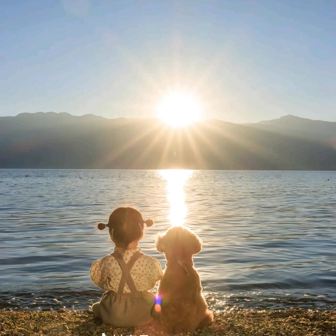 刘💫刘💃大❤顺